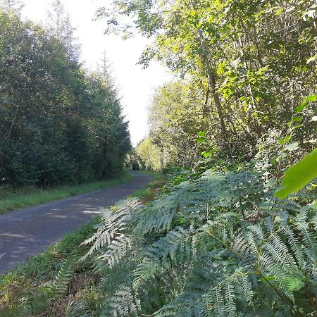 Tig Na Coille B&B Country House Kilkenny Extérieur photo