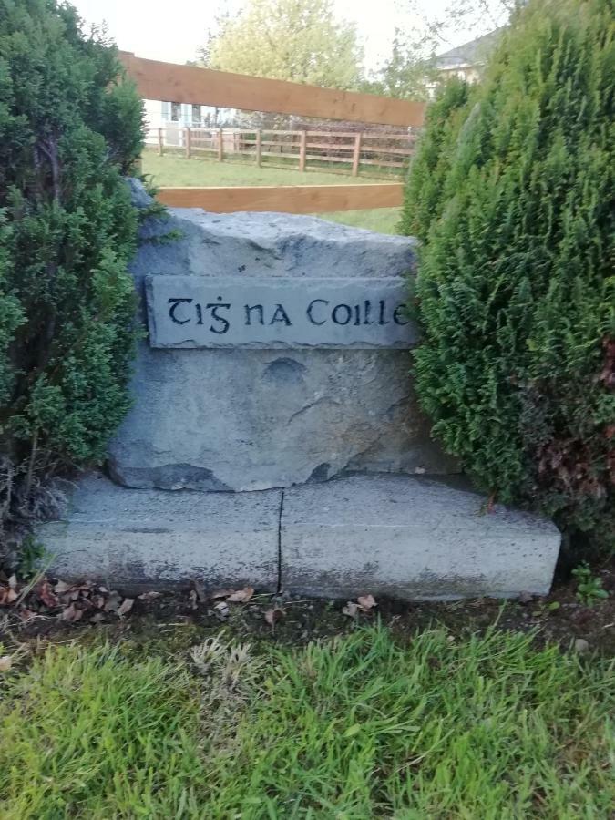 Tig Na Coille B&B Country House Kilkenny Extérieur photo