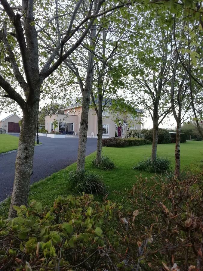 Tig Na Coille B&B Country House Kilkenny Extérieur photo