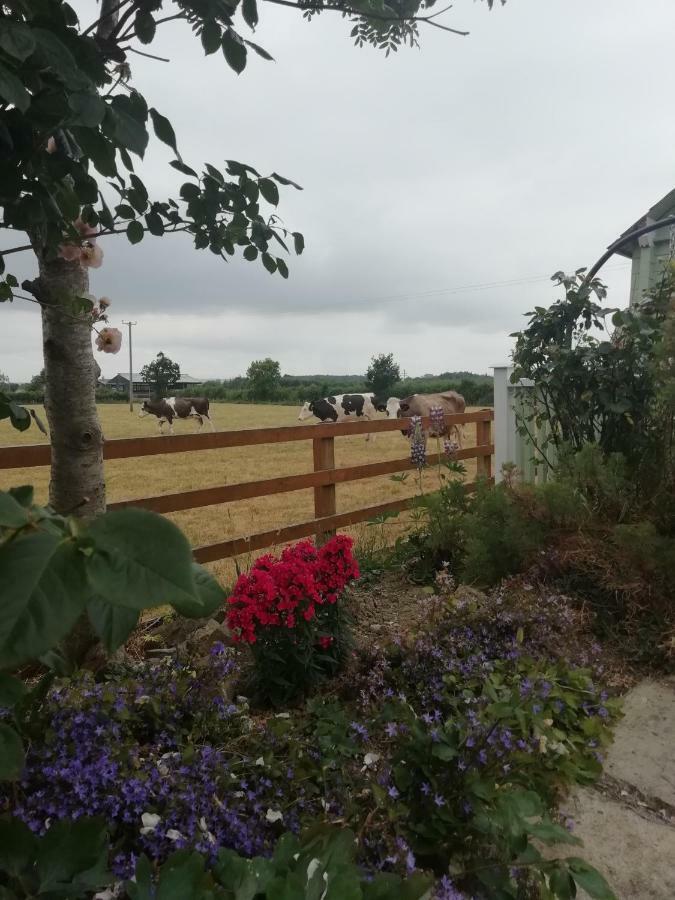 Tig Na Coille B&B Country House Kilkenny Extérieur photo